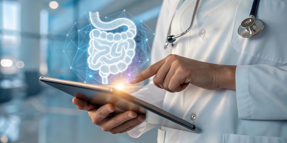 gut-brain connection